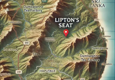 lipton's seat