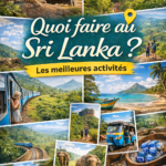 Activities in Sri Lanka