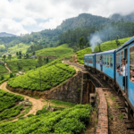 Découvrez le voyage en train Kandy Ella au Sri Lanka un itinéraire panoramique spectaculaire à travers les plantations de thé les viaducs centenaires et les montagnes embrumées