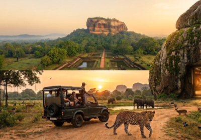Sigiriya Rock Fortress standing above Sri Lanka's lush green jungle landscape under a soft morning sky.