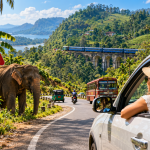 Louer une voiture au sri lanka